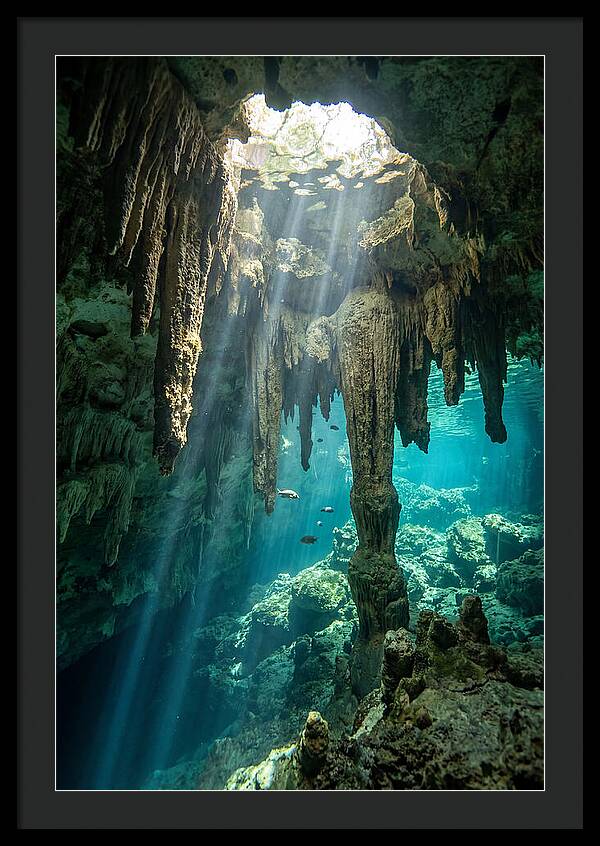 Cenote Stalactites