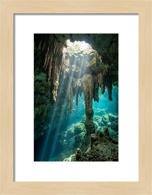 Cenote Stalactites