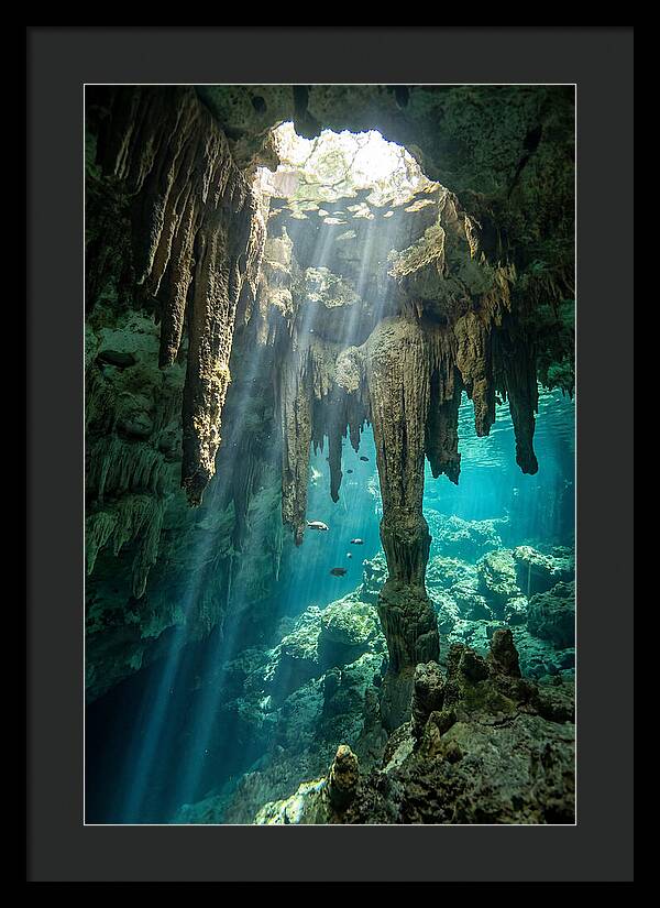 Cenote Stalactites