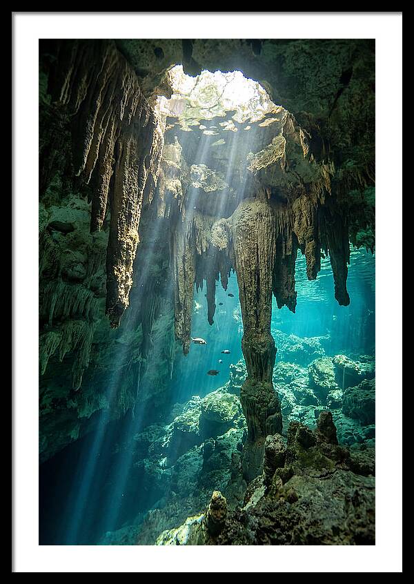 Cenote Stalactites