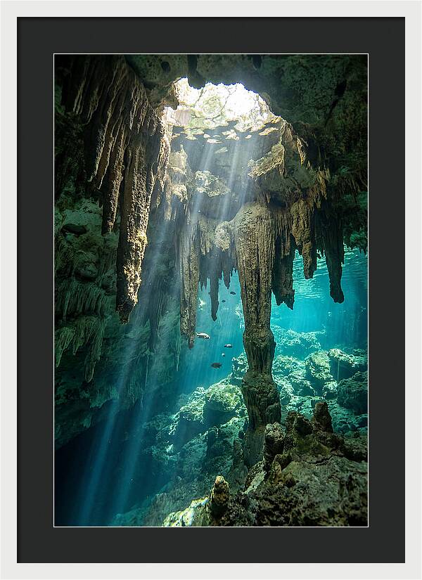 Cenote Stalactites