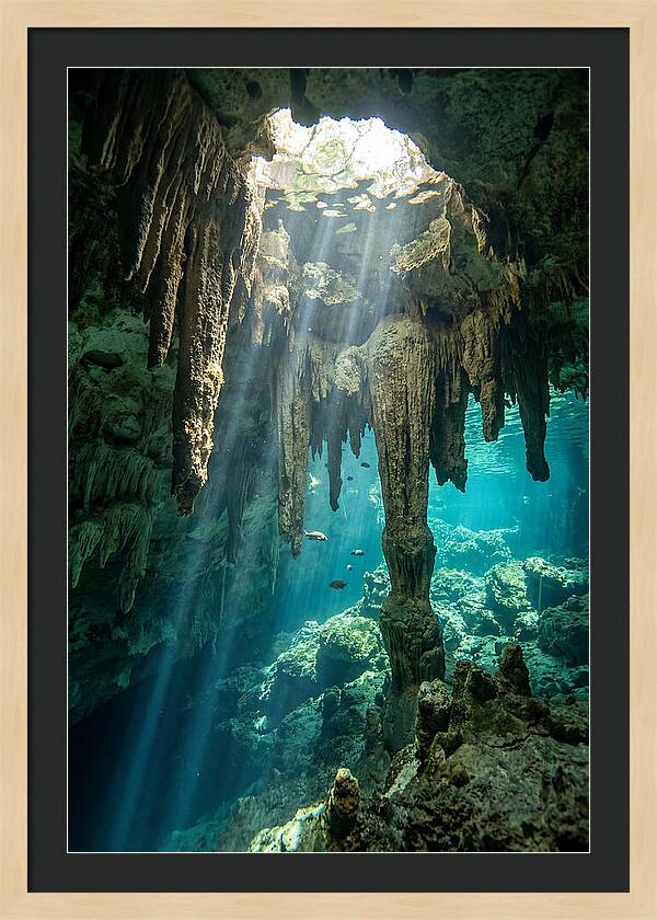 Cenote Stalactites