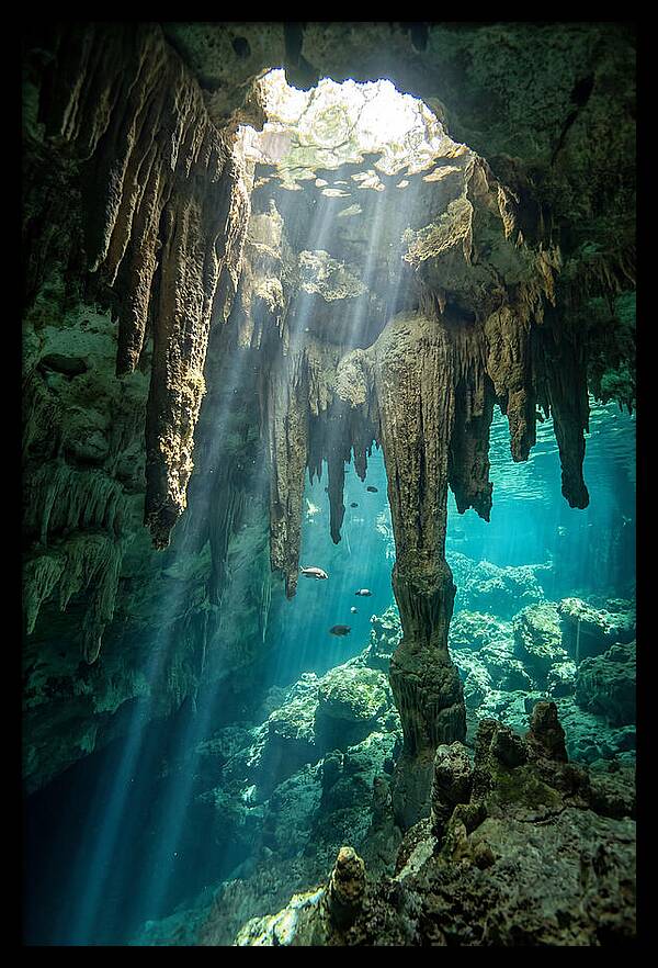 Cenote Stalactites