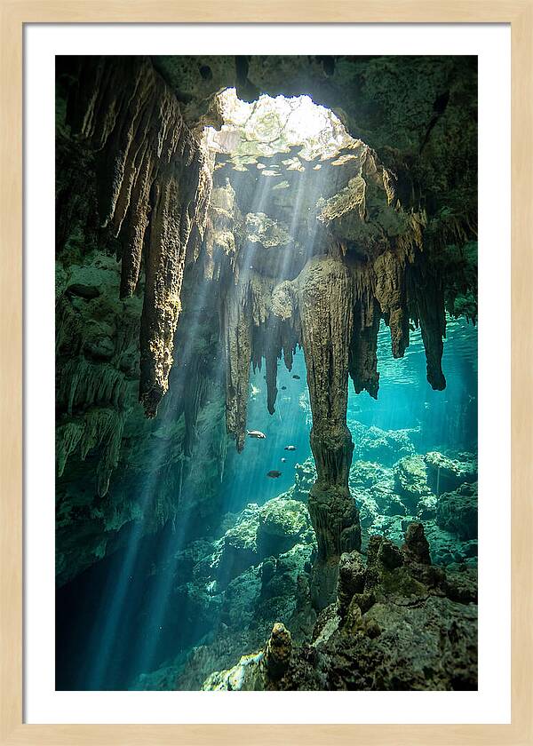 Cenote Stalactites