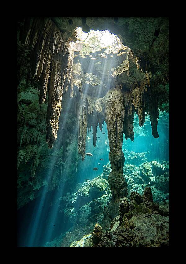 Cenote Stalactites
