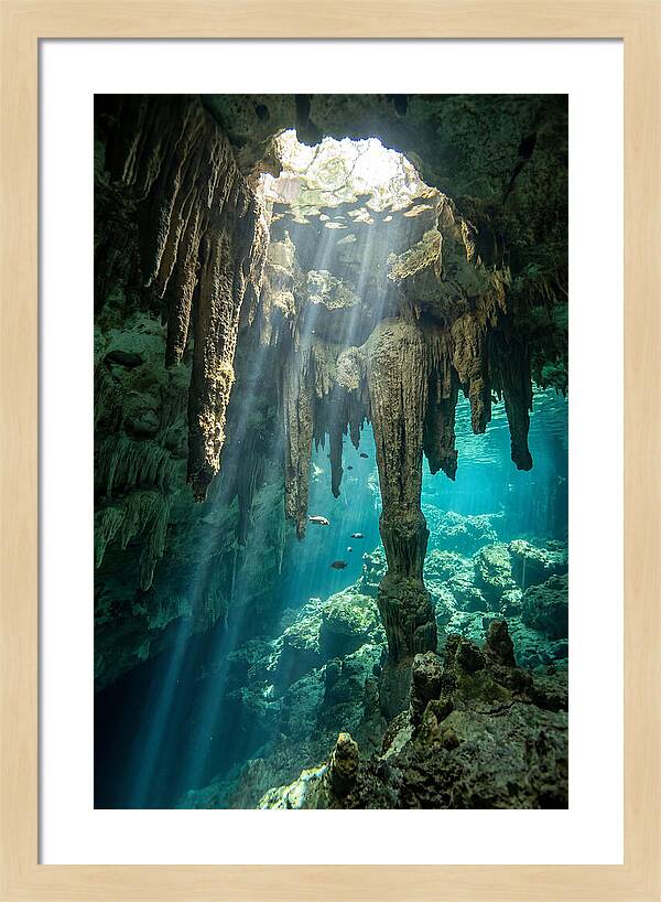 Cenote Stalactites