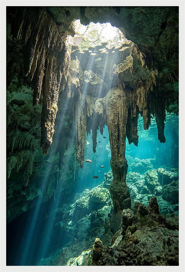Cenote Stalactites