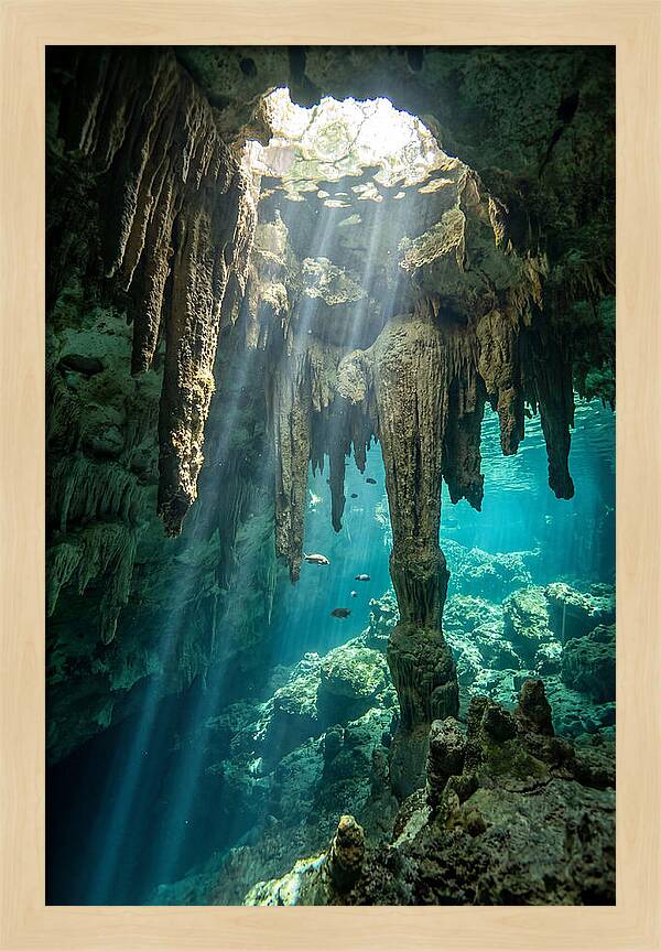 Cenote Stalactites