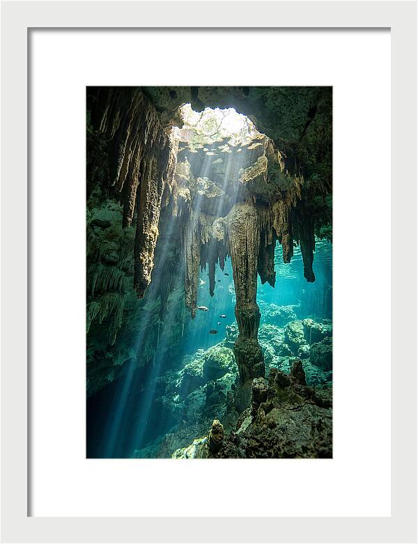 Cenote Stalactites