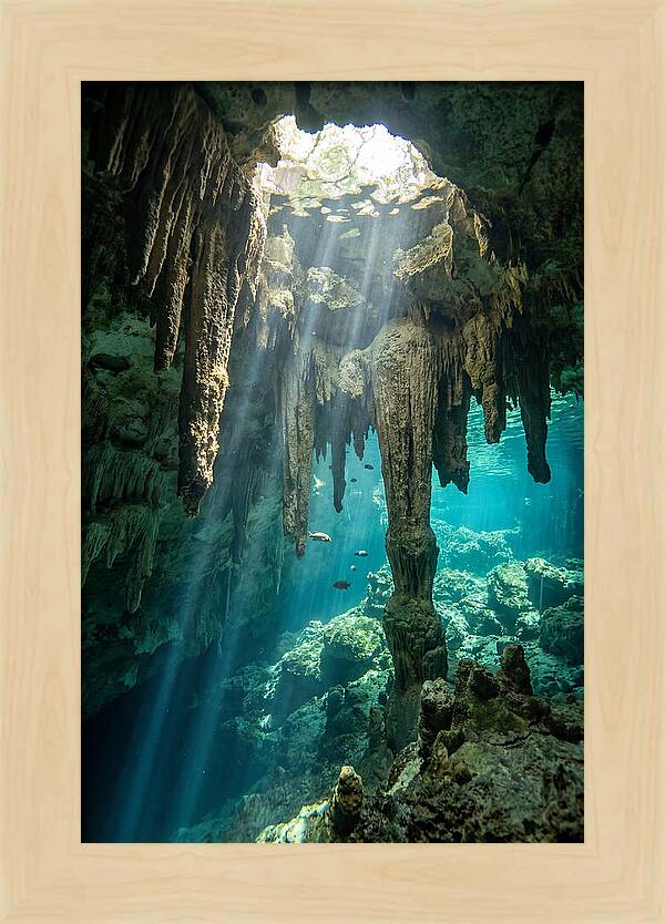 Cenote Stalactites