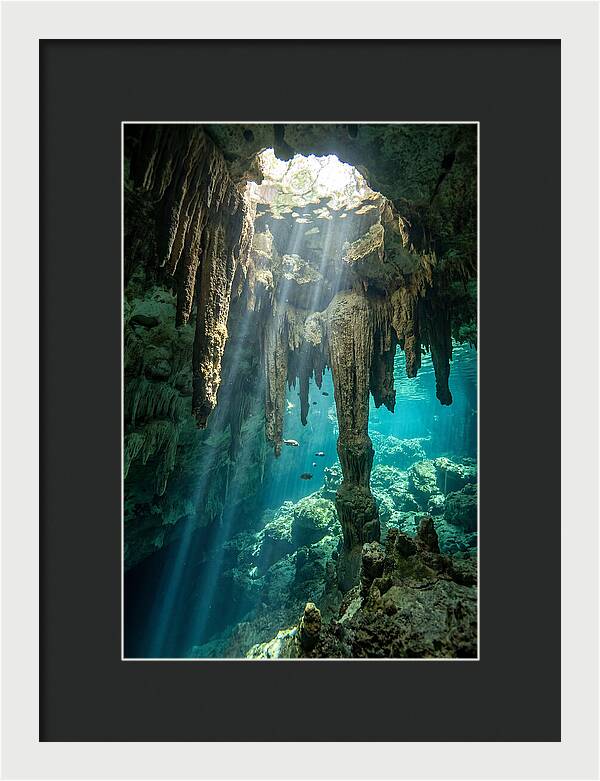 Cenote Stalactites