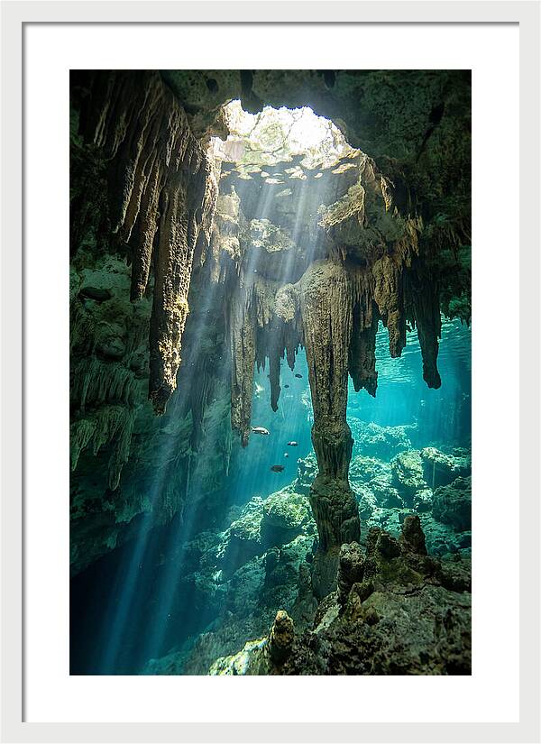 Cenote Stalactites