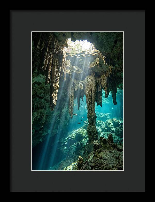 Cenote Stalactites
