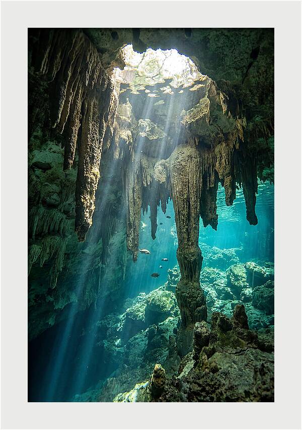 Cenote Stalactites