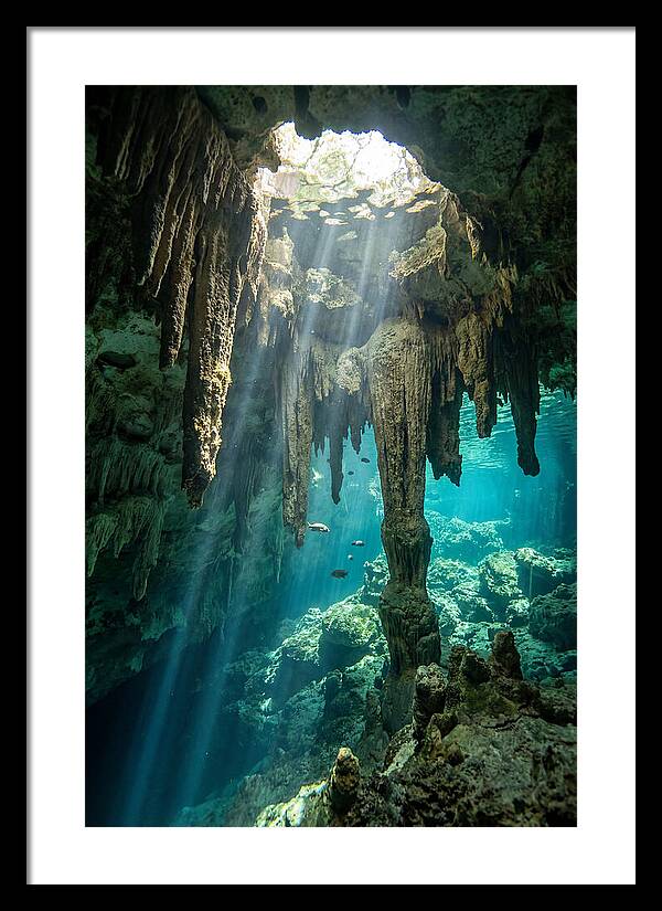 Cenote Stalactites