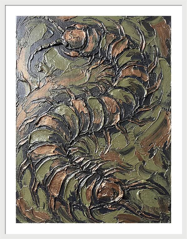 Centipede In Textured Earth Tones