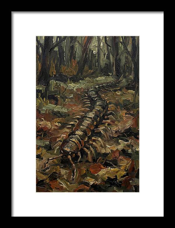 Centipede In The Forest