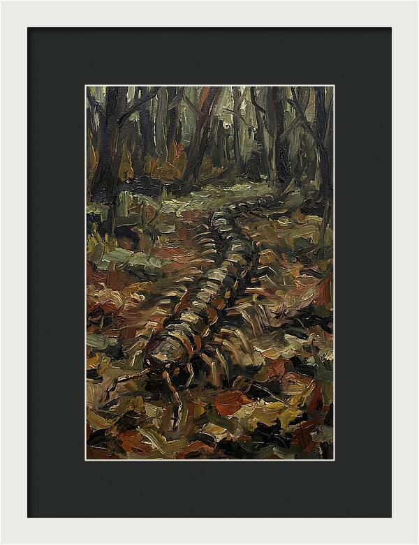 Centipede In The Forest