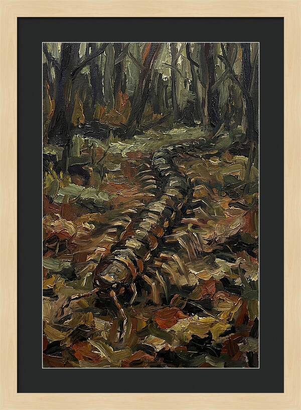 Centipede In The Forest