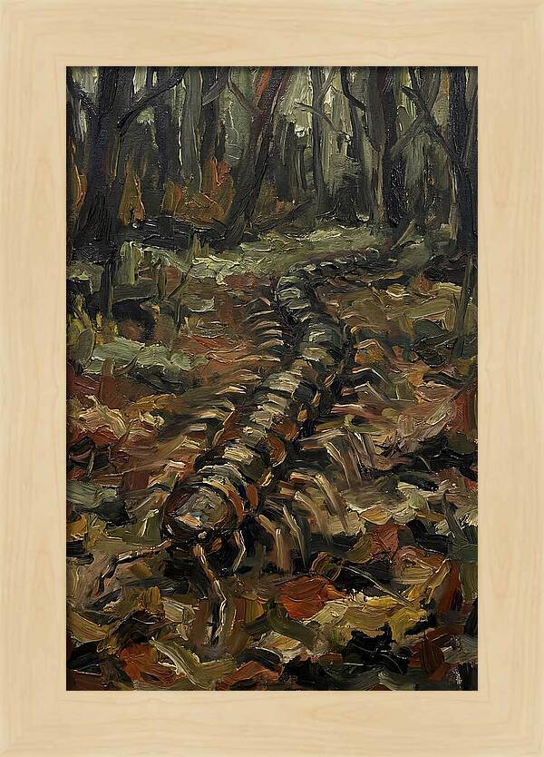 Centipede In The Forest