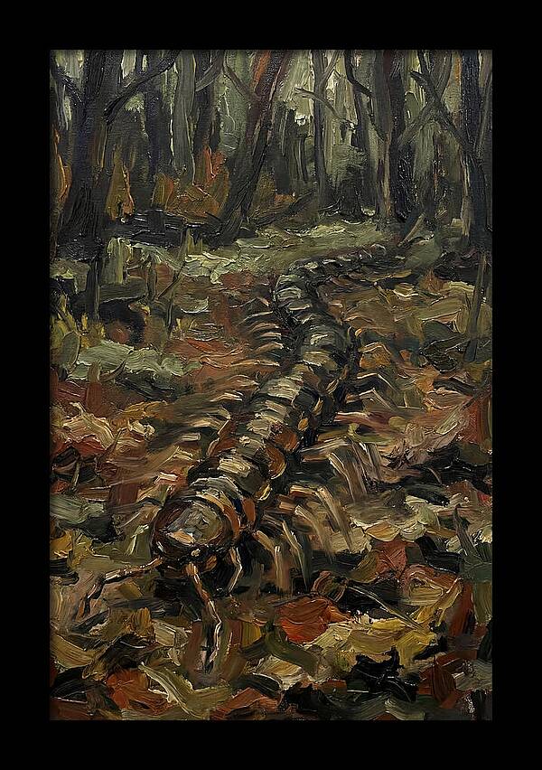 Centipede In The Forest