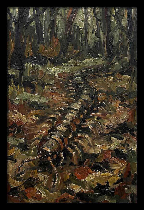 Centipede In The Forest