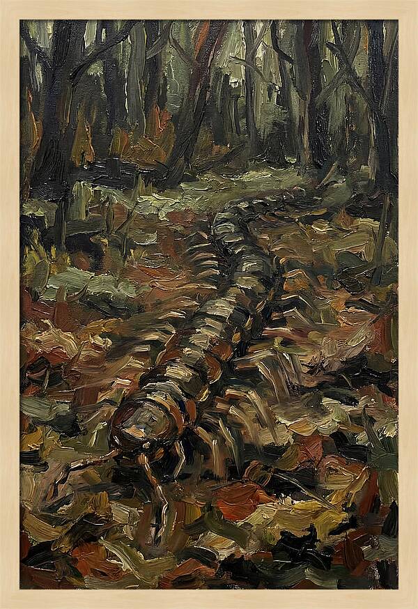 Centipede In The Forest