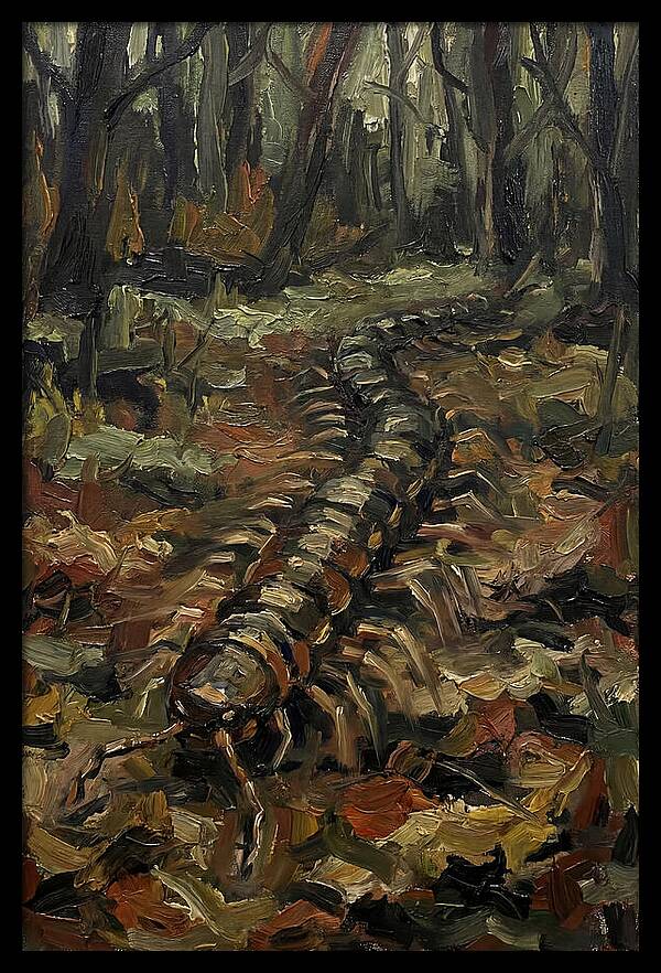 Centipede In The Forest