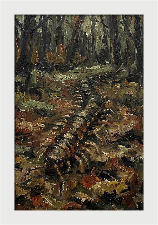 Centipede In The Forest