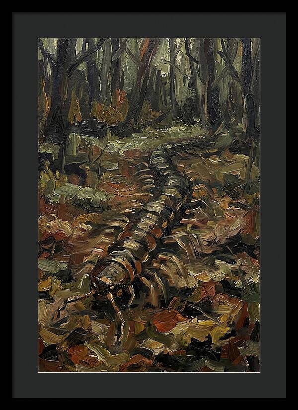 Centipede In The Forest