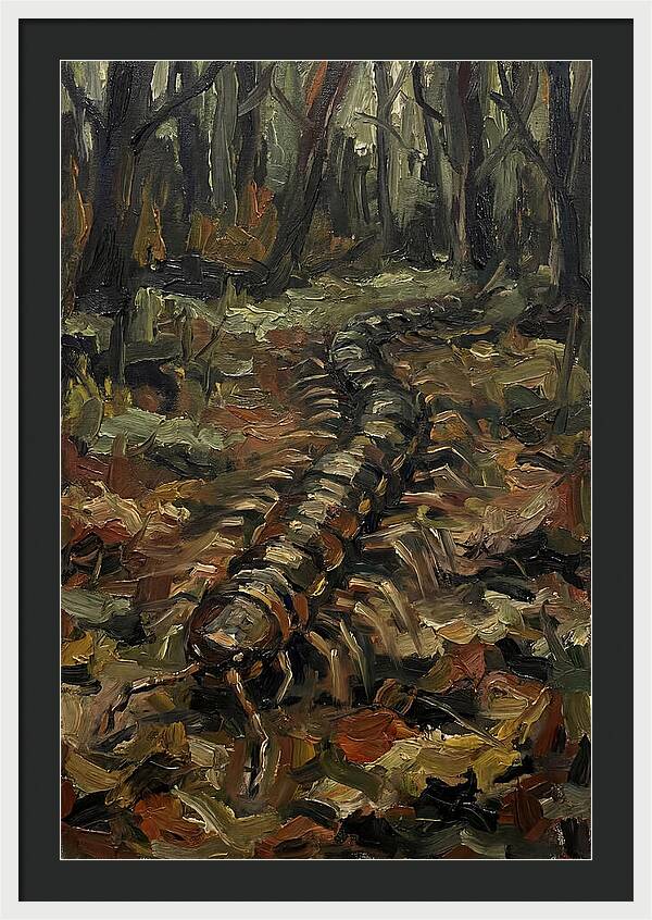 Centipede In The Forest