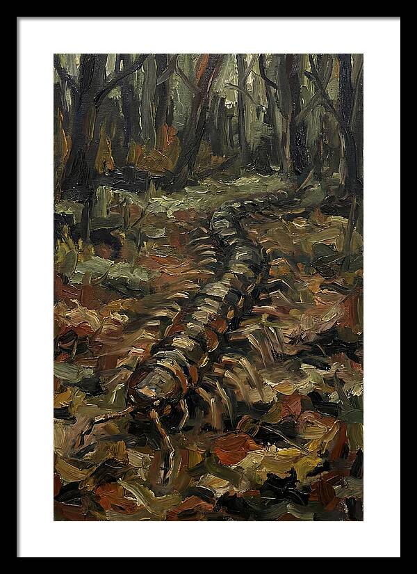 Centipede In The Forest