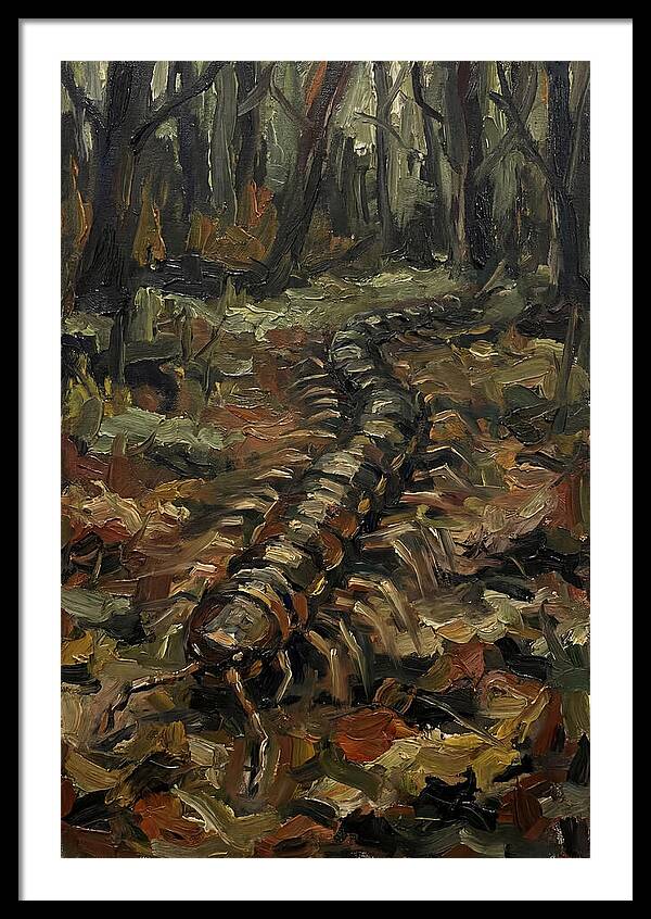 Centipede In The Forest
