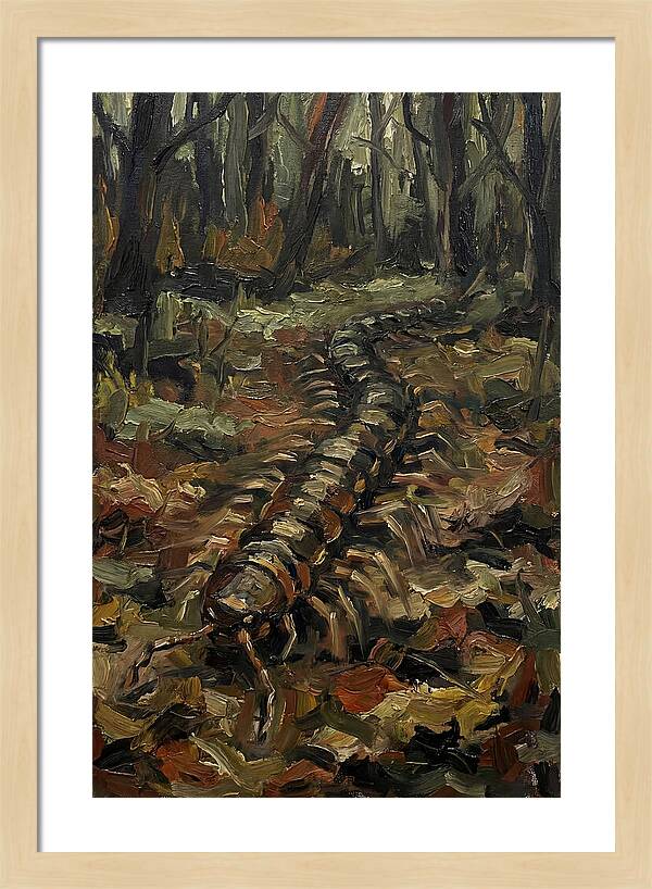 Centipede In The Forest