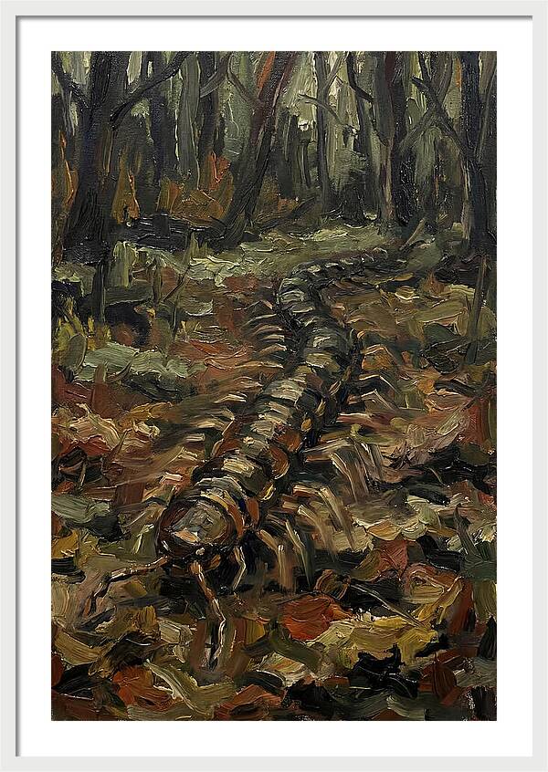 Centipede In The Forest