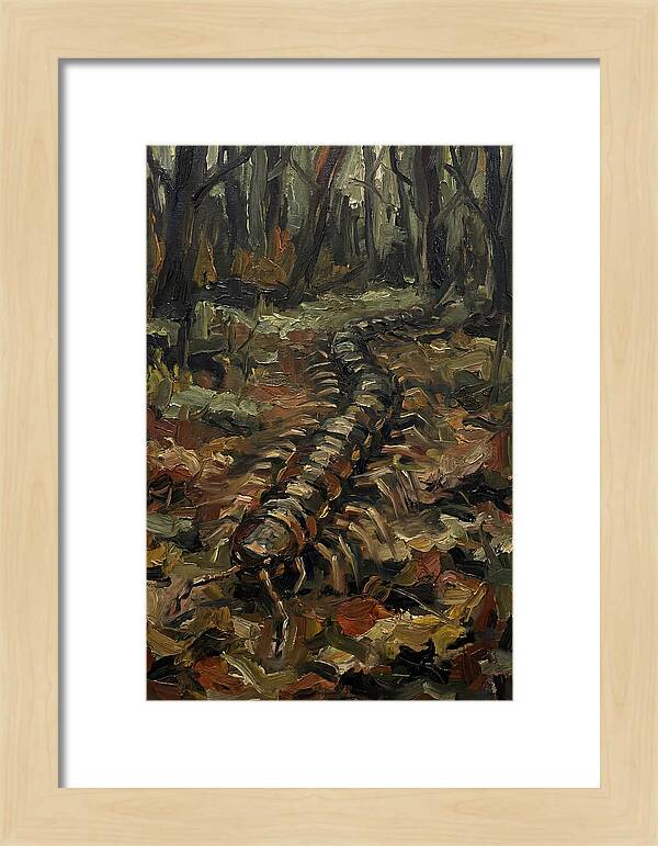 Centipede In The Forest