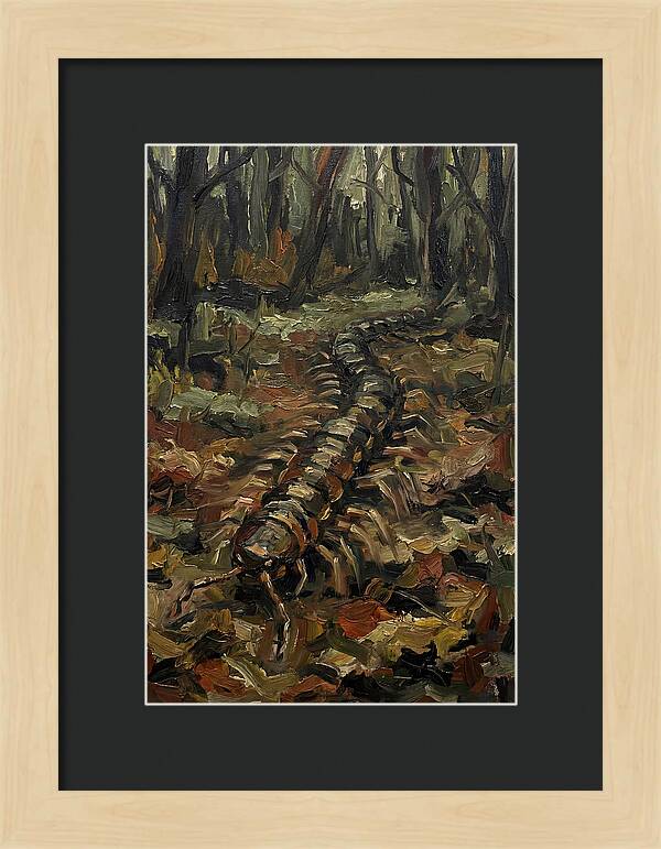 Centipede In The Forest