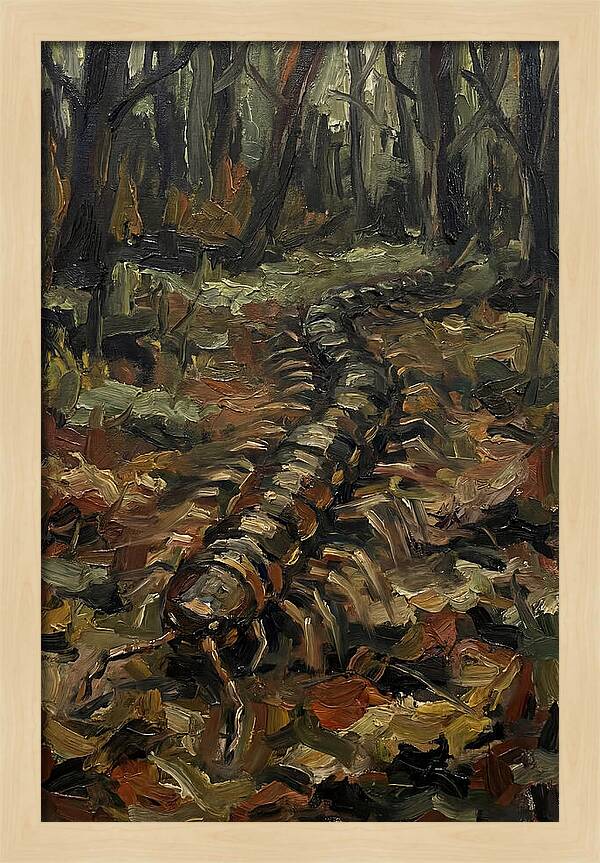 Centipede In The Forest