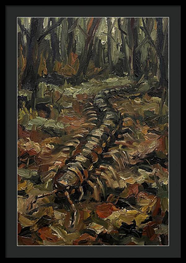 Centipede In The Forest