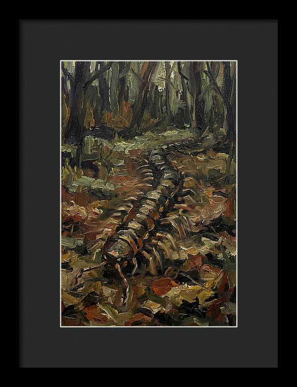 Centipede In The Forest