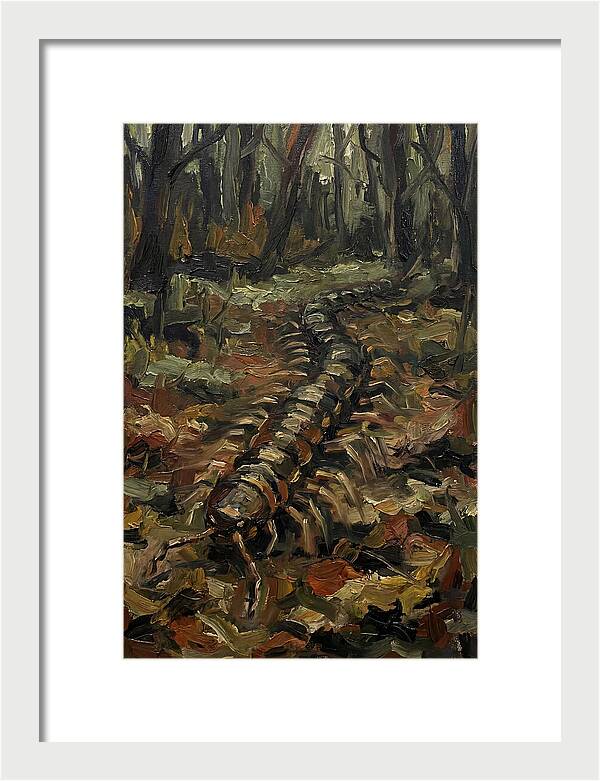 Centipede In The Forest