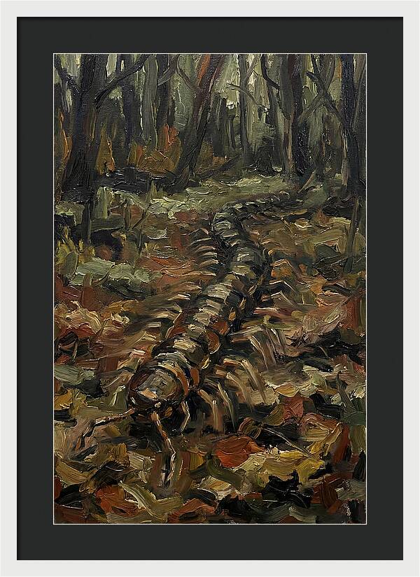 Centipede In The Forest