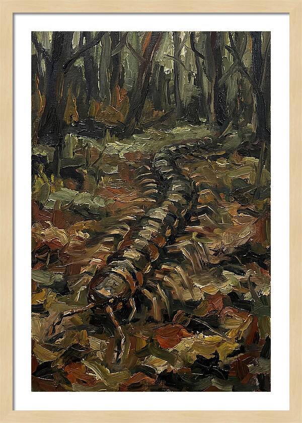 Centipede In The Forest