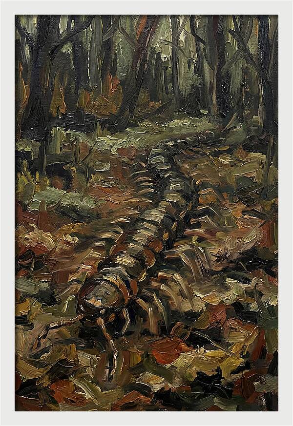 Centipede In The Forest