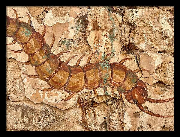 Centipede On Ancient Wall