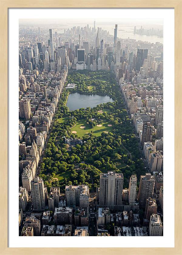Central Park Aerial View