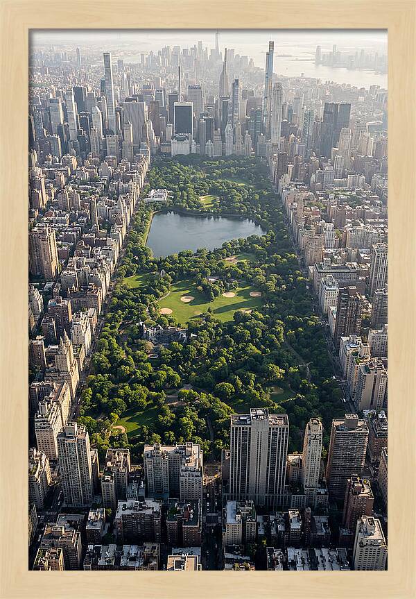 Central Park Aerial View