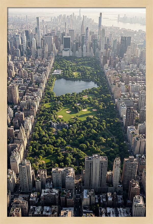 Central Park Aerial View