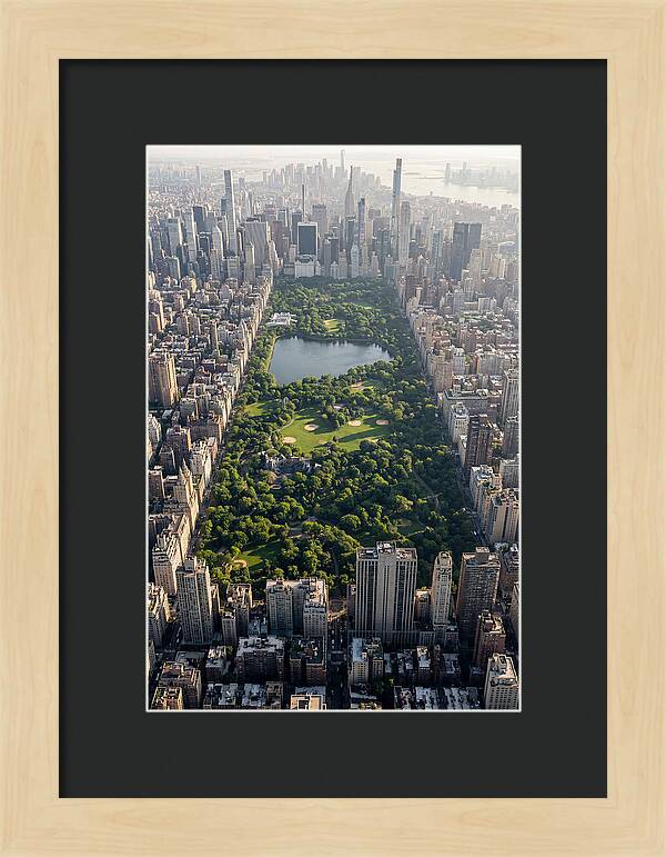 Central Park Aerial View