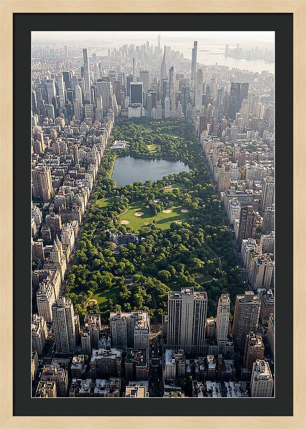 Central Park Aerial View